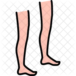 Leg  Icon