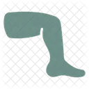 Leg Foot Anatomy Icon