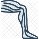 Leg Veins Varicose Phlebology Icon