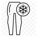  Icône