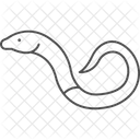 Legless Lizard Leglesslizard Reptile Icon