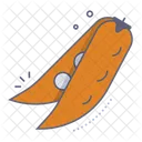 Legume Nut Bean Icon