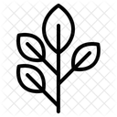 Salades Bienfaits Pour La Sante Vegetalien Icône