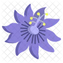 Leidenschaft Blume Blumen Icon