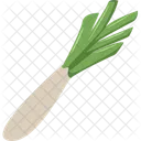 Alho Poro Cebola Vegetais Icon