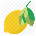 Fruit Lemon Organic Icon