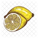 Lemon Citrus Citrous Icon