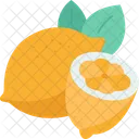 Lemon Citrus Juice Icon