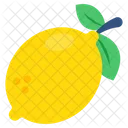 Lemon Lime Citrus Fruit Icon