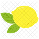 Lemon Healthy Fruit Icon