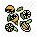 Lemon Citrus  Icon