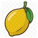 Fruit Fruits Food Icon