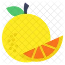 Lemon Lime Citrus Fruit Icon