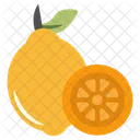 Lemon Lime Citrus Fruit Icon