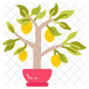 Lemon plant  Icon