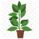 Lemon Potted Plant  Icon