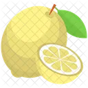 Lemon Slice Vector  Icon
