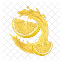 Citrus Fresh Fruit Icon