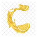 Splash Citrus Fresh Icon