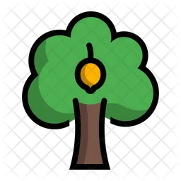 Lemon Tree  Icon