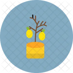 Lemon tree  Icon