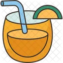 Lemonade Juice Citrus Icon