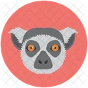 Lemur  Icon