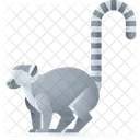 Lemur Animal Zoo Icon