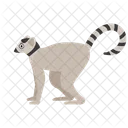 Lemur Animal Zoo Icon