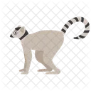 Lemur  Icon