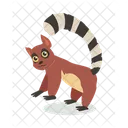 Lemur Primate Cute Icon