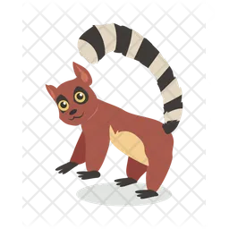 Lemur  Icon