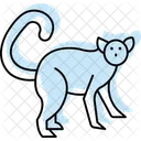 Lemur Mammal Primate Icon