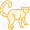 Lemur Mammal Primate Icon