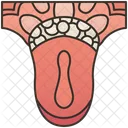 Lengua  Icon