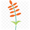 Lentil Garden Plant  Icon