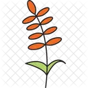 Lentil Garden Plant  Icon