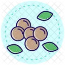 Lentils Icon