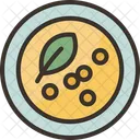 Lentils Seed Grain Icon