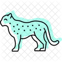 Leopard Katze Katzenartige Symbol