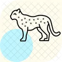 Leopard Icône