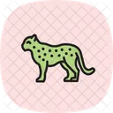 Leopard Symbol