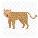 Leopard Animal Zoo Icon