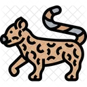 Leopard Panther Carnivore Icon