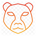 Leopard Face Leopard Head Leopard Icon