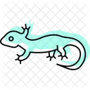 Leopard Gecko Icon