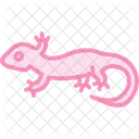 Leopard Gecko Icon