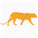 Leopard Cheetah Wildcat Icon