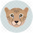 Leopard Jaguar Panther Icon