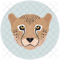 Leopard  Icon